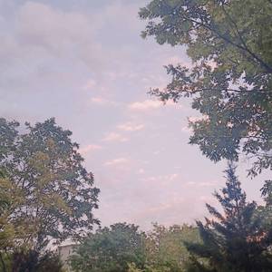 新婚之夜日逼视频
