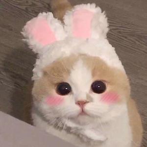 新婚之夜日逼视频
