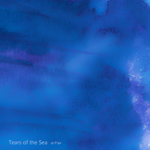 新婚之夜日逼视频
