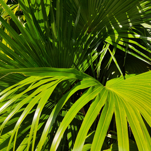 新婚之夜日逼视频
